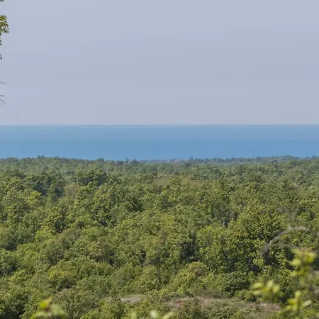 Appartamento Zikovic *