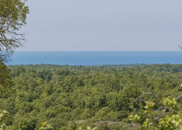 Апартаменты Zikovic *